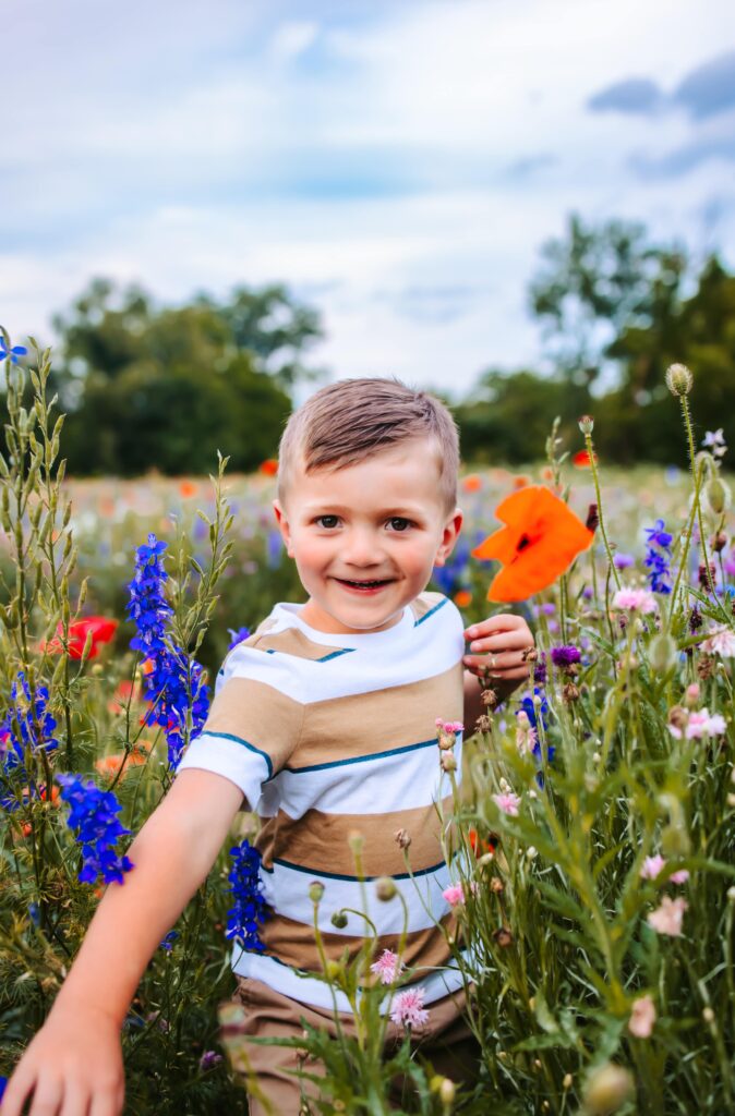a little boy peeking through a field of wildflowers during a family photography session